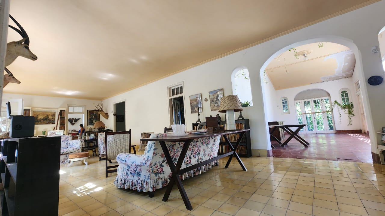 WhatsApp Image 2025-11-20 at 16.49.51